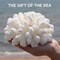 Pack of 2 White Coral Decor, White Coral Reef, Faux Artificial Coral Statue, Resin Coral Sculpture Nautical Tabletop Decoration for Beach Theme Party Home Decor Wedding Decoration